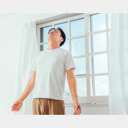 写真はイメージ