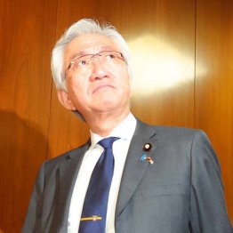 「反石破」急先鋒の西田昌司議員も尻すぼみ（Ｃ）日刊ゲンダイ