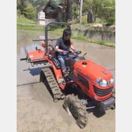 故郷の新潟で米作りに精を出す（提供写真）