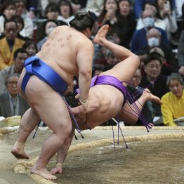 【写真①】カッピングで体を守った大の里（Ｃ）共同通信社