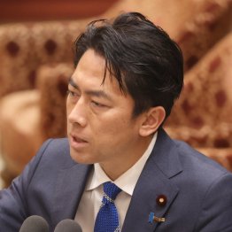 抵抗勢力！（Ｃ）日刊ゲンダイ