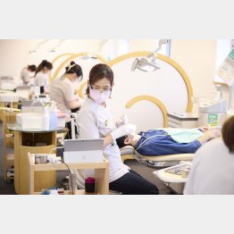 しん治歯科医院では21台中10台が予防歯科専用の椅子だ（提供写真）