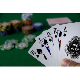 リアルカジノのような臨場感で…