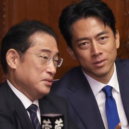 岸田前首相（左）と小泉進次郎元環境相（Ｃ）日刊ゲンダイ