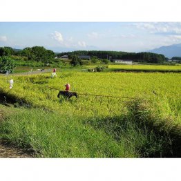 耕作地の4割は中山間地域（Ｃ）日刊ゲンダイ