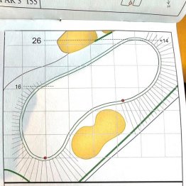 このグリーンは乗せるだけでも難しい（Ｃ）日刊ゲンダイ