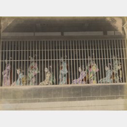 明治中期の吉原。遊郭の1階部分はこのように格子になっており、「張見世」といって娼婦がここで客を待った（長崎大学附属図書館所蔵／共同通信イメージズ）