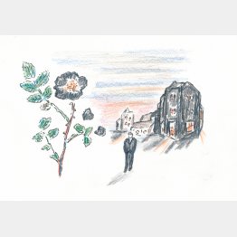 イラスト・沢野ひとし