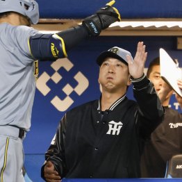 本塁打の佐藤輝明を迎える藤川監督（Ｃ）共同通信社