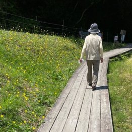 神経伝達物質の発現と作用を促す（Ｃ）日刊ゲンダイ