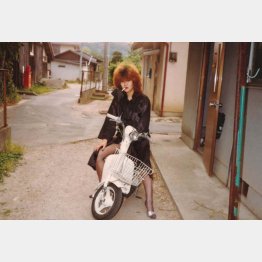 （提供）せいか