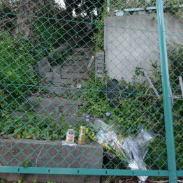 遺体遺棄現場の雑木林。花が手向けられていた（提供写真）