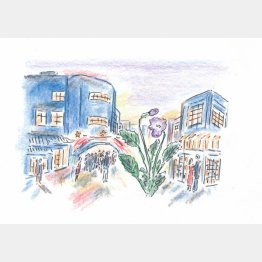 イラスト・沢野ひとし