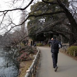 うつや孤独にも効果あり（Ｃ）日刊ゲンダイ