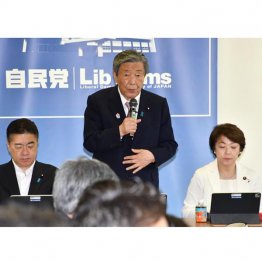 減税する気ゼロ（森山裕幹事長）／（Ｃ）日刊ゲンダイ