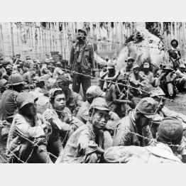 ソロモン諸島のガダルカナル島で、米軍の捕虜となった日本軍兵士＝1942年（ＡＣＭＥ）