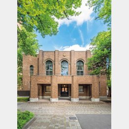 武蔵大のキャンパスは緑が豊富（提供）武蔵大学