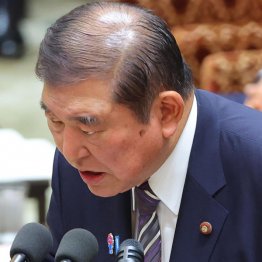 カネがないなら歳費も削れ（衆院予算委員会集中審議＝12日）／（Ｃ）日刊ゲンダイ