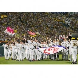 2023年の阪神は役割がはっきりしていた（Ｃ）共同通信社