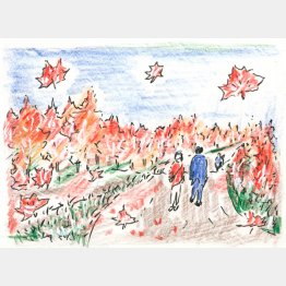 イラスト・沢野ひとし