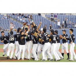 ファームが日本一になる意味は…（Ｃ）共同通信社