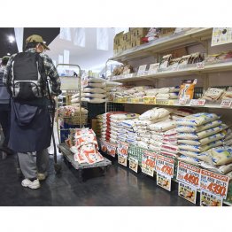 全然値段が下がらない（Ｃ）共同通信社