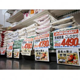 備蓄米が流通しても相変わらず価格は高く、先月4月よりも割高に…（Ｃ）共同通信社
