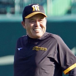 手本は岡田彰布さん（Ｃ）日刊ゲンダイ