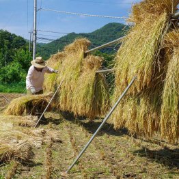 写真はイメージ