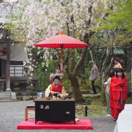 常照寺の吉野太夫供養法要（撮影）渡辺憲司
