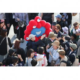 何となくうまくいっている雰囲気だが…（Ｃ）日刊ゲンダイ