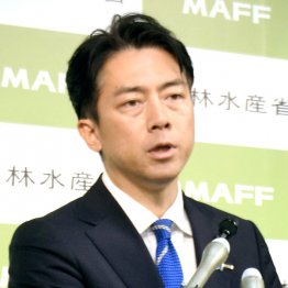 お手並み拝見（Ｃ）共同通信社