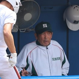 グラウンドに鋭い視線を向むける持丸監督（Ｃ）日刊ゲンダイ