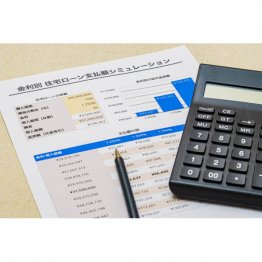 ネットも参考に複数のプランを計算しておこう