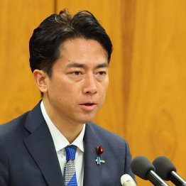 コメ価格はまだまだ先が読めない（小泉進次郎農相）／（Ｃ）日刊ゲンダイ