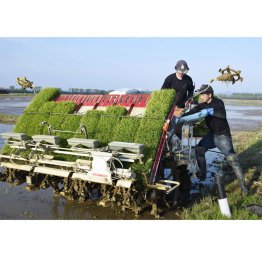 最も必要なのはコメ農政の抜本的な対策（田植え機に肥料を積み込むコメ生産者）／（Ｃ）共同通信社