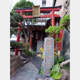 高尾稲荷神社（提供写真）