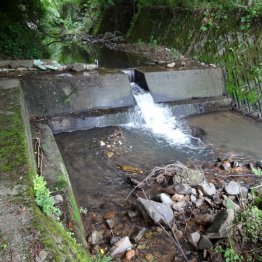 圓山さんの遺体が発見された現場（提供写真）
