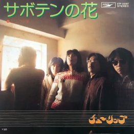 チューリップ「サボテンの花」