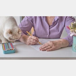 うまい、へたは関係ない（Ｃ）iStock