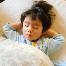 写真はイメージ