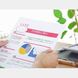 さまざまなプランをじっくり検討しよう