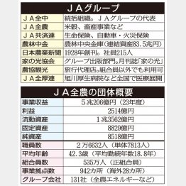 （Ｃ）日刊ゲンダイ