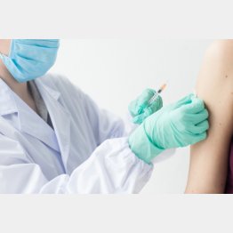 写真はイメージ