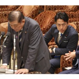 紛れもない 、全ては自民党政治の失敗が招いた。忘れてはいけない（Ｃ）日刊ゲンダイ