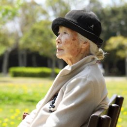 加齢によりニューロンは徐々に消失