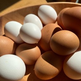 卵1個あたりのタンパク質は7.3グラム