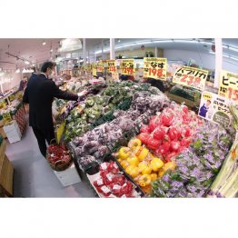 恐ろしいほどの値上げラッシュ、消費税減税の方がよっぽど恩恵がある（Ｃ）共同通信社