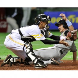 プロ野球現役時代の美嶋隼人容疑者（左）／（Ｃ）日刊ゲンダイ