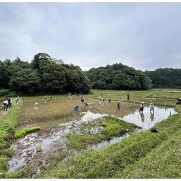 約40人が参加（Ｃ）日刊ゲンダイ